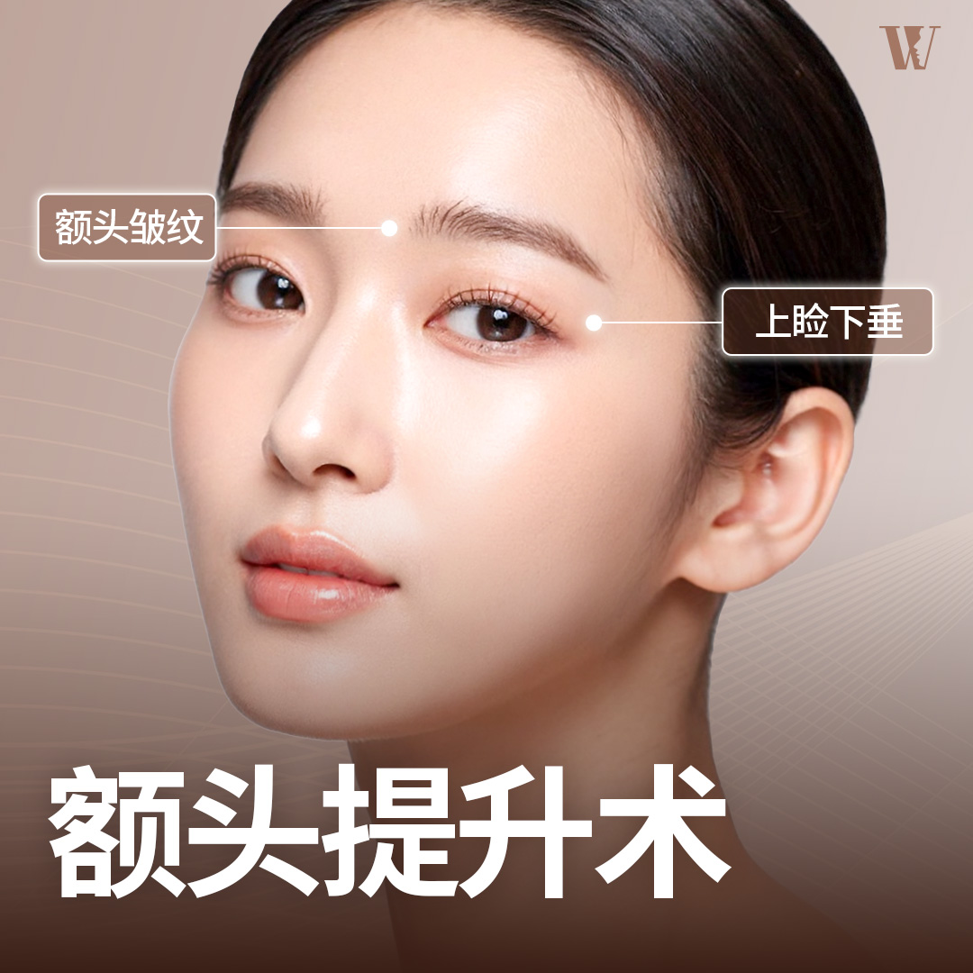 컨텐츠이미지